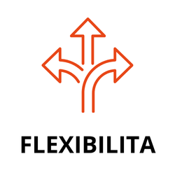 FLEXIBILITA